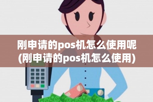 刚申请的pos机怎么使用呢(刚申请的pos机怎么使用)