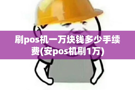 刷pos机一万块钱多少手续费(安pos机刷1万)