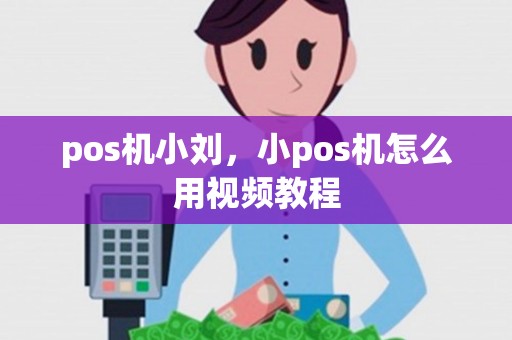 pos机小刘，小pos机怎么用视频教程