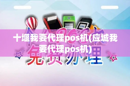十堰我要代理pos机(应城我要代理pos机)