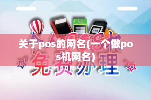 关于pos的网名(一个做pos机网名)