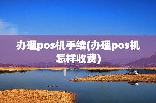 办理pos机手续(办理pos机怎样收费)