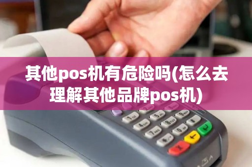 其他pos机有危险吗(怎么去理解其他品牌pos机)