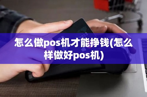 怎么做pos机才能挣钱(怎么样做好pos机)