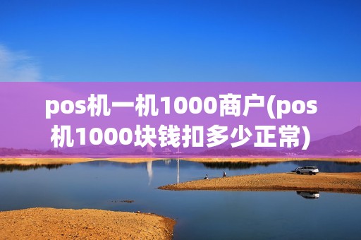 pos机一机1000商户(pos机1000块钱扣多少正常)