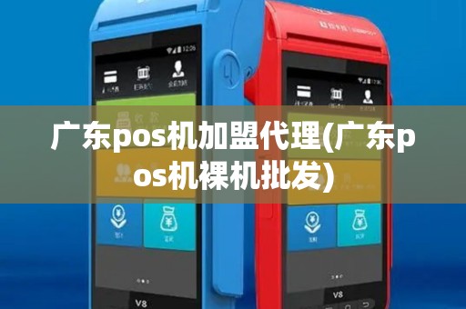 广东pos机加盟代理(广东pos机裸机批发)