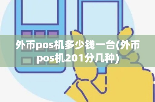 外币pos机多少钱一台(外币pos机201分几种)