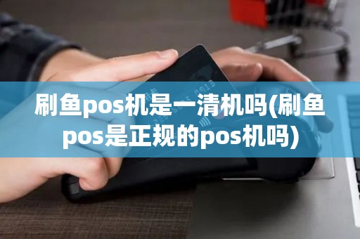 刷鱼pos机是一清机吗(刷鱼pos是正规的pos机吗)