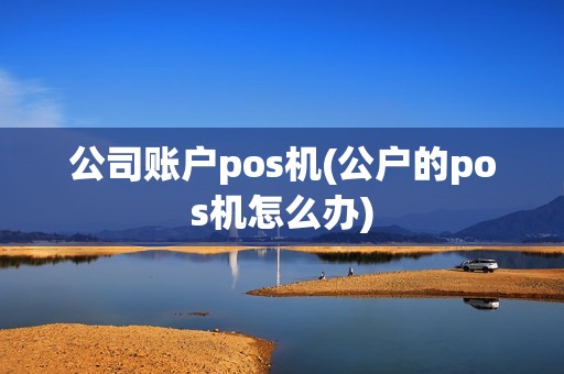 公司账户pos机(公户的pos机怎么办)