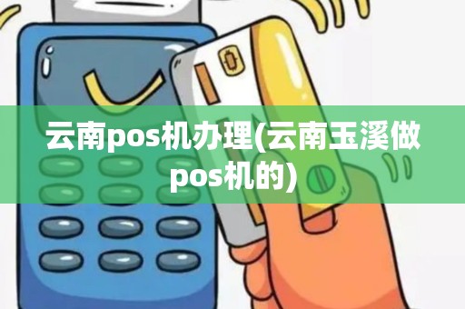 云南pos机办理(云南玉溪做pos机的)