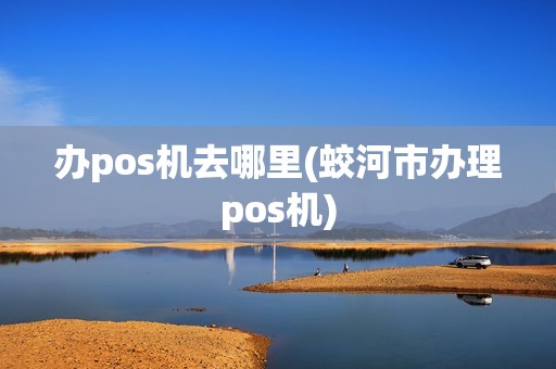 办pos机去哪里(蛟河市办理pos机)