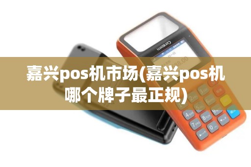 嘉兴pos机市场(嘉兴pos机哪个牌子最正规)