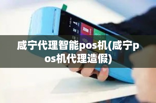 咸宁代理智能pos机(咸宁pos机代理造假) 咸宁代理智能pos机(咸宁pos机代理造假)
