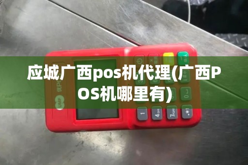 应城广西pos机代理(广西POS机哪里有)