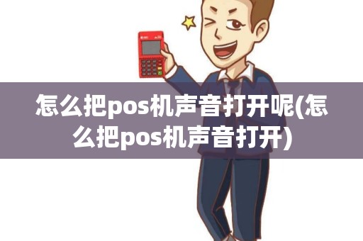 怎么把pos机声音打开呢(怎么把pos机声音打开)