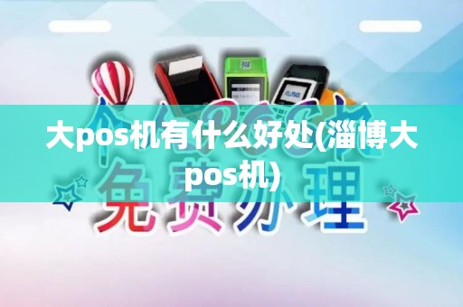 大pos机有什么好处(淄博大pos机)