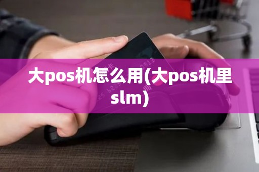 大pos机怎么用(大pos机里slm)