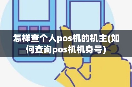 怎样查个人pos机的机主(如何查询pos机机身号)