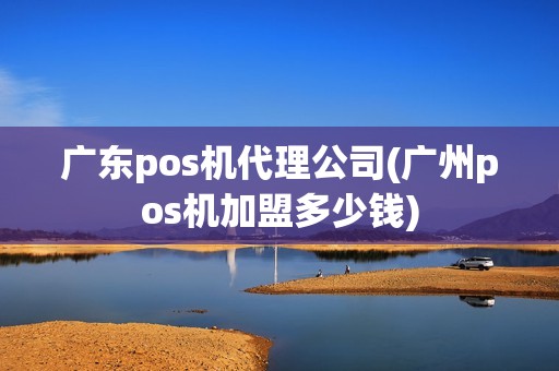 广东pos机代理公司(广州pos机加盟多少钱)