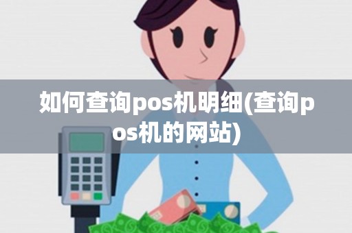 如何查询pos机明细(查询pos机的网站)
