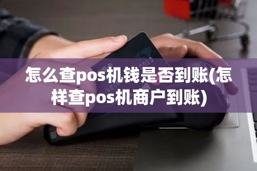 怎么查pos机钱是否到账(怎样查pos机商户到账) 怎么查pos机钱是否到账(怎样查pos机商户到账)