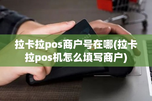 拉卡拉pos商户号在哪(拉卡拉pos机怎么填写商户)
