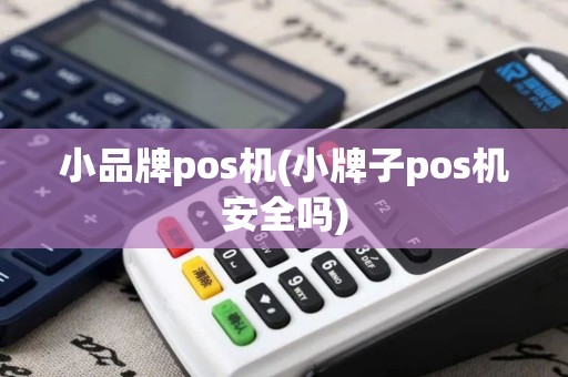 小品牌pos机(小牌子pos机安全吗)