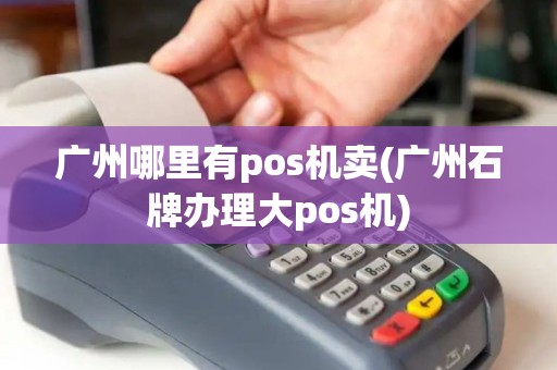 广州哪里有pos机卖(广州石牌办理大pos机)