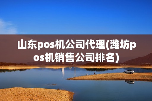 山东pos机公司代理(潍坊pos机销售公司排名)
