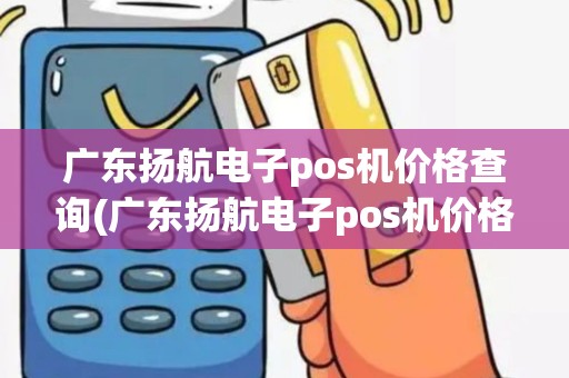 广东扬航电子pos机价格查询(广东扬航电子pos机价格)
