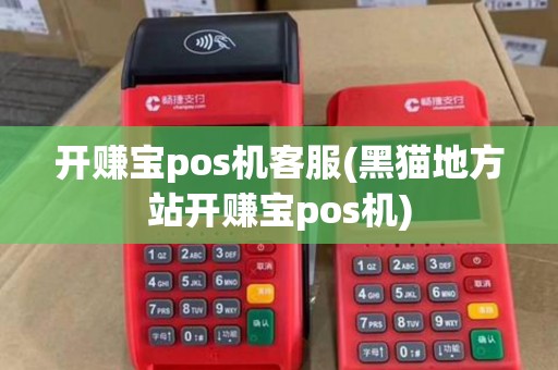 开赚宝pos机客服(黑猫地方站开赚宝pos机) 开赚宝pos机客服(黑猫地方站开赚宝pos机)