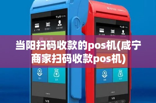 当阳扫码收款的pos机(咸宁商家扫码收款pos机)