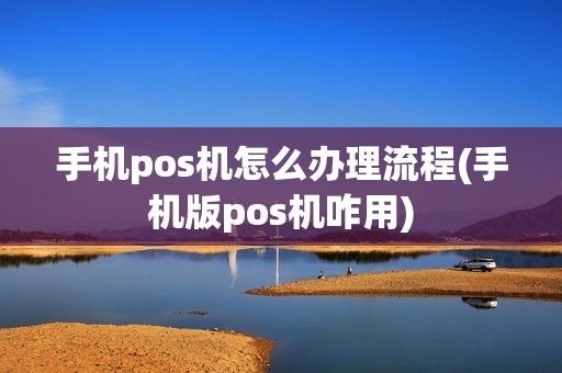手机pos机怎么办理流程(手机版pos机咋用)