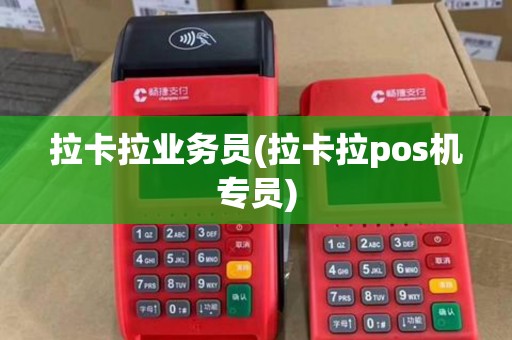 拉卡拉业务员(拉卡拉pos机专员)