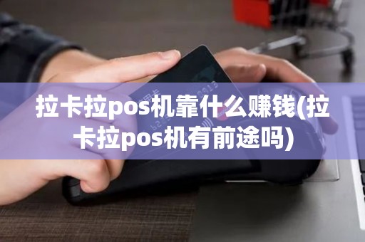 拉卡拉pos机靠什么赚钱(拉卡拉pos机有前途吗)