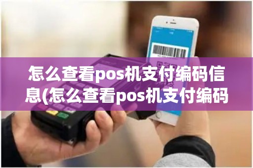 怎么查看pos机支付编码信息(怎么查看pos机支付编码)