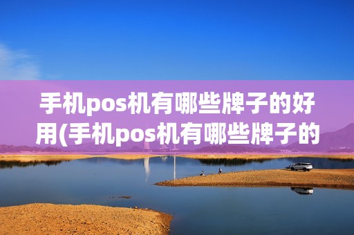手机pos机有哪些牌子的好用(手机pos机有哪些牌子的)