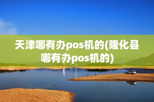 天津哪有办pos机的(隆化县哪有办pos机的)