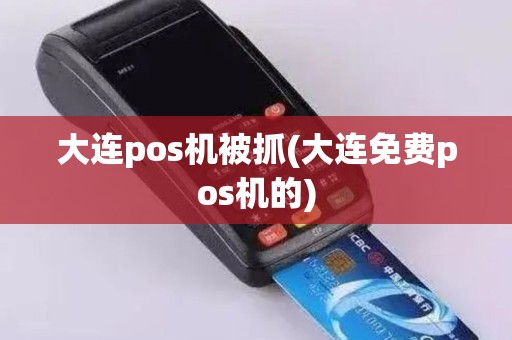 大连pos机被抓(大连免费pos机的)
