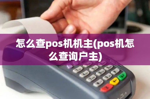 怎么查pos机机主(pos机怎么查询户主)