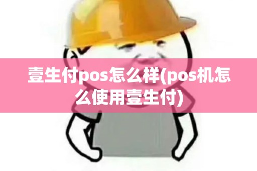 壹生付pos怎么样(pos机怎么使用壹生付)