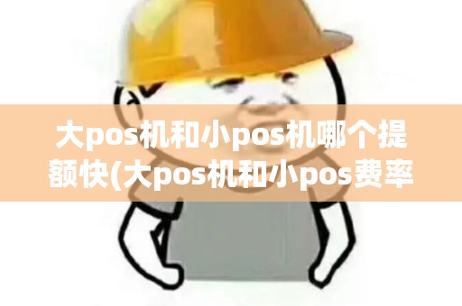 大pos机和小pos机哪个提额快(大pos机和小pos费率)