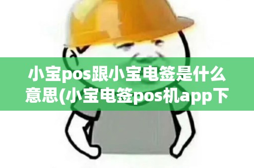 小宝pos跟小宝电签是什么意思(小宝电签pos机app下载)