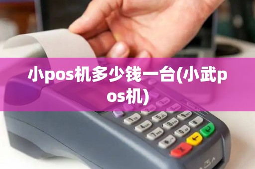 小pos机多少钱一台(小武pos机)