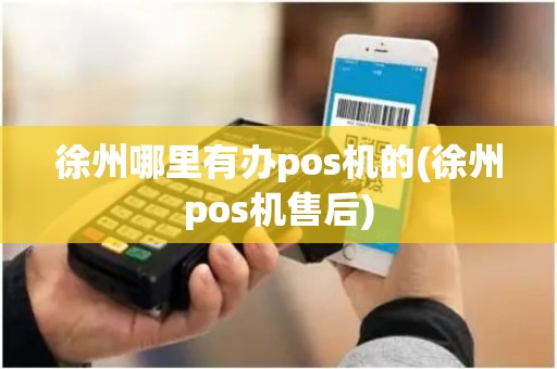 徐州哪里有办pos机的(徐州pos机售后)