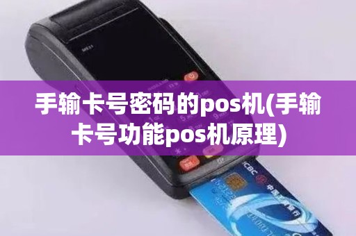 手输卡号密码的pos机(手输卡号功能pos机原理)