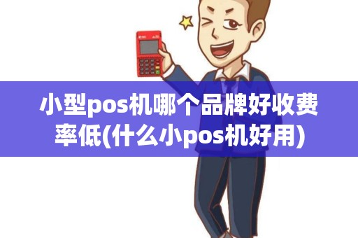 小型pos机哪个品牌好收费率低(什么小pos机好用)