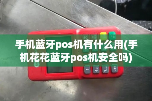 手机蓝牙pos机有什么用(手机花花蓝牙pos机安全吗)