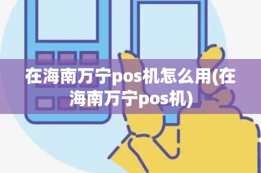 在海南万宁pos机怎么用(在海南万宁pos机)