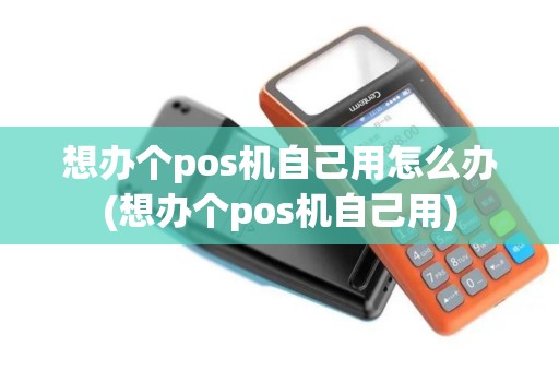 想办个pos机自己用怎么办(想办个pos机自己用)